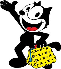 Outro gato